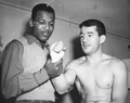 Sugar-Rocky.jpg