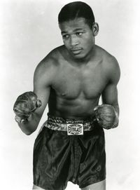 File:Sugar-ray-1917749339.jpg