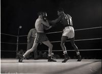 File:Sugar Bobo.jpg