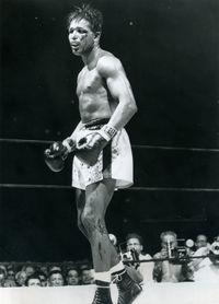 File:Sugar Ray.JPG