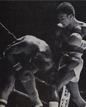 Sugar Ray Leonard - Randy Shields.jpg