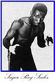 Sugar Ray Seales-20.jpg