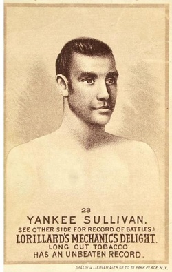 Yankee Sullivan