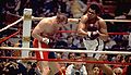 T1larg.wepner.ali.si.jpg