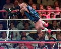 TAPIA-BACK-FLIP.jpg