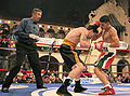 TafoyaRed-green-wht.jpg