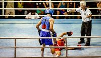 File:Talles Gomes vs. Rodrigo Augusto.jpg