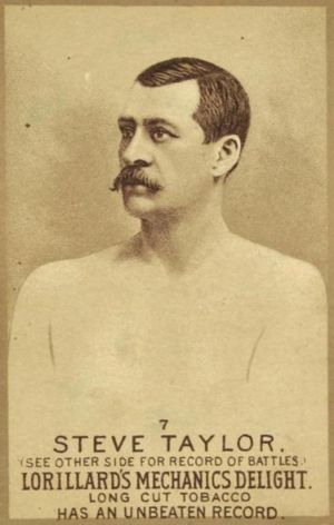 Steve Taylor