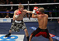 Thumbnail for version as of 16:28, 29 January 2012