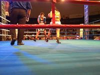File:Taynna Cardoso vs. Simone Aparecida Da Silva (07).jpg