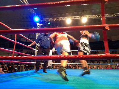 Taynna Cardoso vs. Simone Aparecida Da Silva (35).jpg