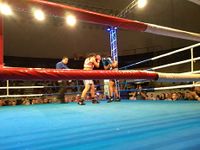File:Taynna Cardoso vs. Simone Aparecida Da Silva (49).jpg