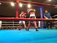 File:Taynna Cardoso vs. Simone Aparecida Da Silva (59).jpg