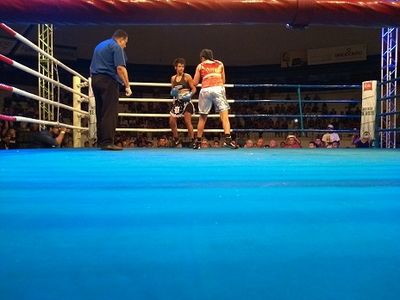 Taynna Cardoso vs. Simone Aparecida Da Silva (62).jpg