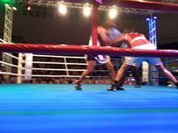 File:Taynna Cardoso vs. Simone Aparecida Da Silva (65).jpg