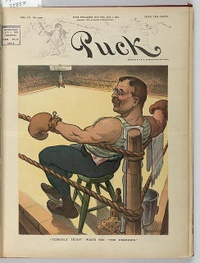 File:Teddy Puck.JPG