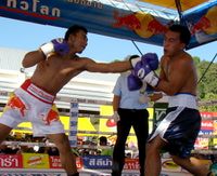 File:Teerachai Kratingdaenggym vs. Amor Tino.jpg