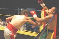 File:Teixeira vs Dos Santos.jpg