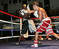 Thumbnail for version as of 15:57, 8 May 2011