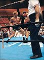 Terry Ray Indiana action.jpg