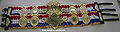 The Ring Belt.JPG