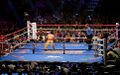 The story of the night in Vegas a straight hand from Mayweather.jpg