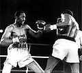 Thomas Hearns vs. James Shuler . Fasan.jpg