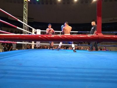 Tiago Vieira Saraiva vs. Hugo Paiva da Silva (13).jpg
