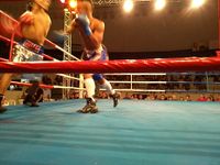 File:Tiago Vieira Saraiva vs. Hugo Paiva da Silva (15).jpg