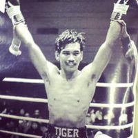 File:Tiger Ari.jpg