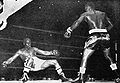 Tiger Carter 34ru8hw.jpg
