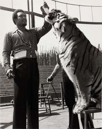 File:Tiger George.jpg