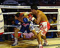 Thumbnail for version as of 03:30, 28 December 2011