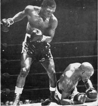 File:Tiger Vs Carter.jpg