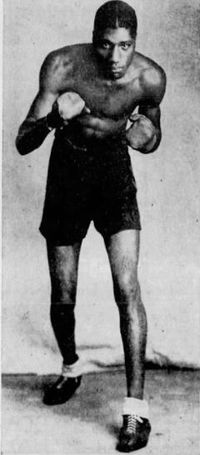 Tiger brown.JPG