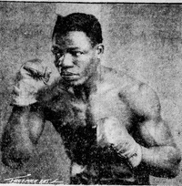 File:Tiger lee paige.jpg
