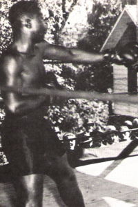 File:Tigerlewflowers.jpg