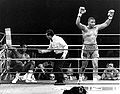 Tim Witherspoon vs. Frank Bruno . Fasan.jpg