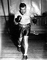 Tom Heeney .6548.jpg