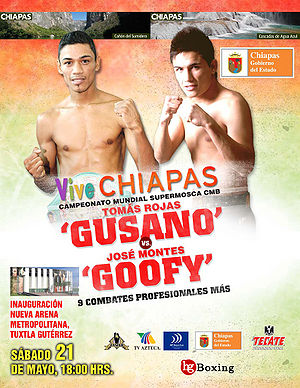 Tomas Rojas vs. Juan Jose Montes (poster).jpg