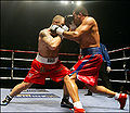 Tomasz Bonin vs. Fernely Feliz IBC heavyweight title.jpg