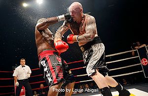 Toney v Browne.jpg