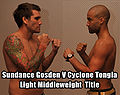 Thumbnail for version as of 04:25, 31 March 2010