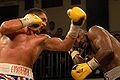 Thumbnail for version as of 09:13, 20 November 2011