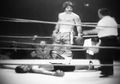 Tony Danza knockout.jpeg