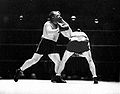 Tony Galento vs Eddie Mader . 897. Fasan.jpg