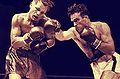 Tony Zale vs Marcel Cerden.jpg