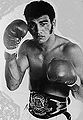Tony mundine boxing days.jpg
