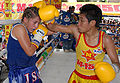 Thumbnail for version as of 20:16, 5 January 2010