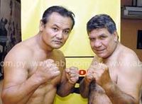 File:Toro vs Avispon.jpg